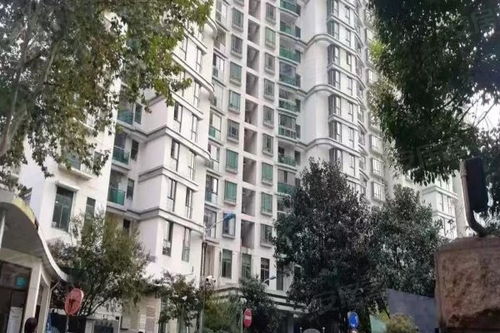 思南新苑優點 不足,思南新苑怎么樣,思南新苑周邊房產中介經紀人評價