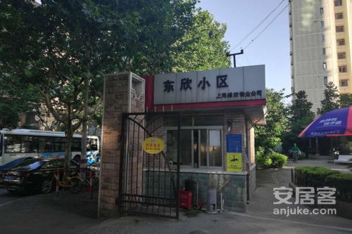 東欣小區優點 不足,東欣小區怎么樣,東欣小區周邊房產中介經紀人評價