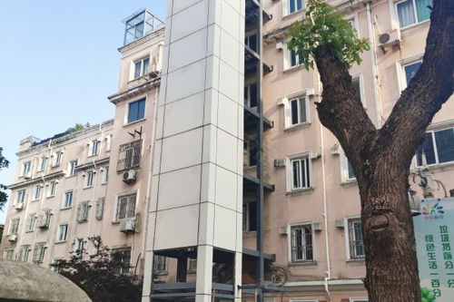 新眾花園優點 不足,新眾花園怎么樣,新眾花園周邊房產中介經紀人評價