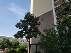 港城尚府圖片相冊,北京港城尚府實景圖 室外圖 小區配套圖 北京安居客