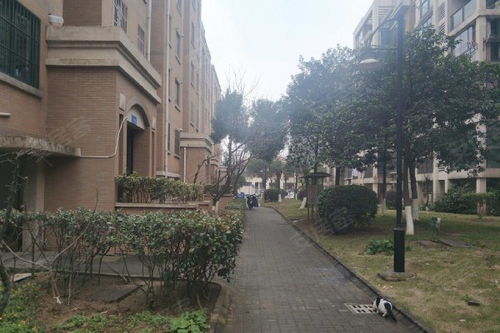 京口花園優點 不足,京口花園怎么樣,京口花園周邊房產中介經紀人評價 鎮江安居客