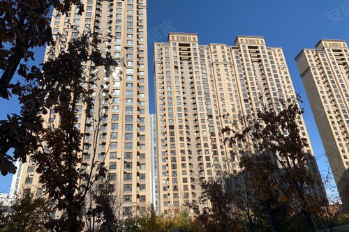 吾悅華府綜合評析 優點與不足，以及中介服務與市場反饋